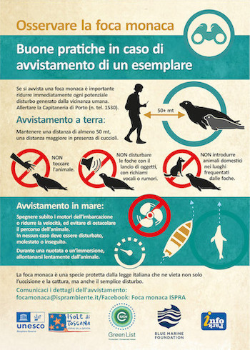 Osservare la foca monaca