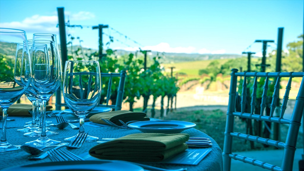 Wine & Food Experience